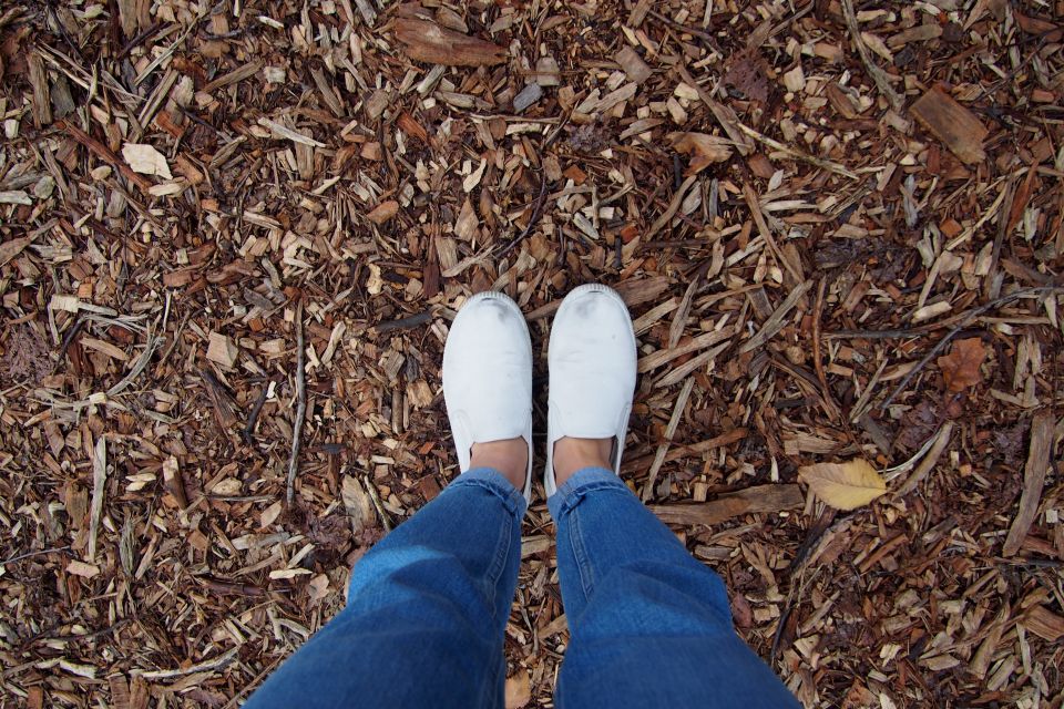 クラスTシャツで彩る学校行事個性と一体感を紡ぐ最新デザイン事情